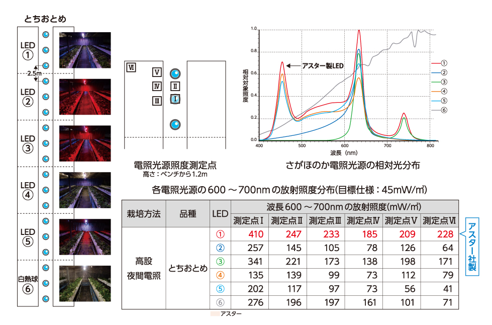 実証実験 試験の概要