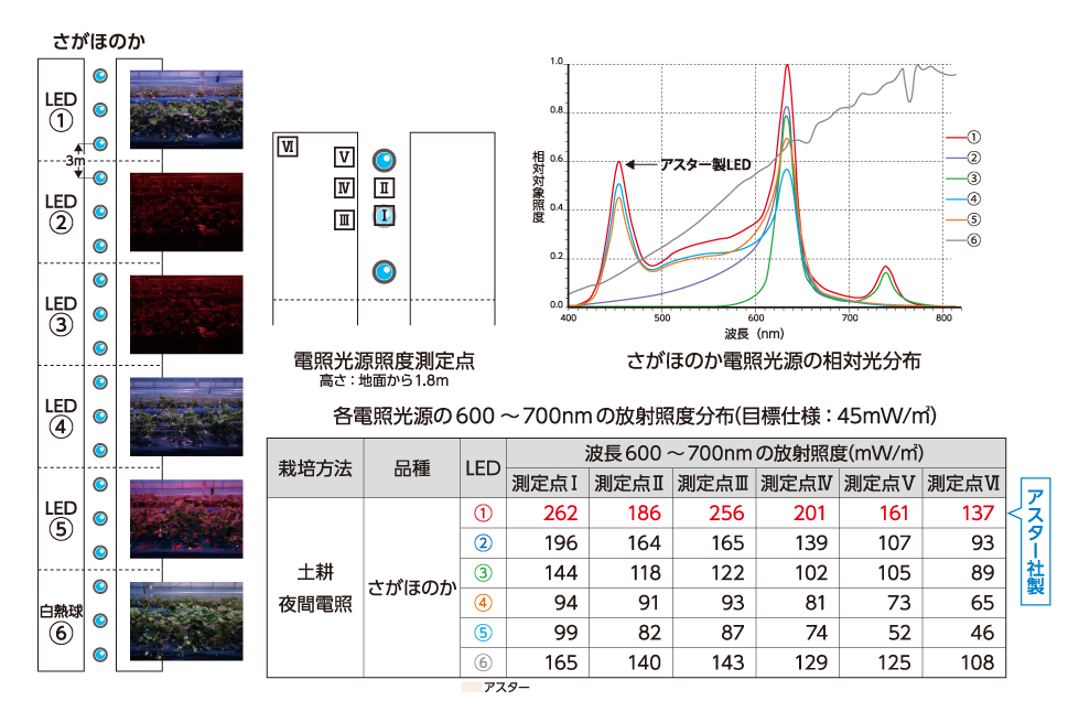 実証実験 試験の概要
