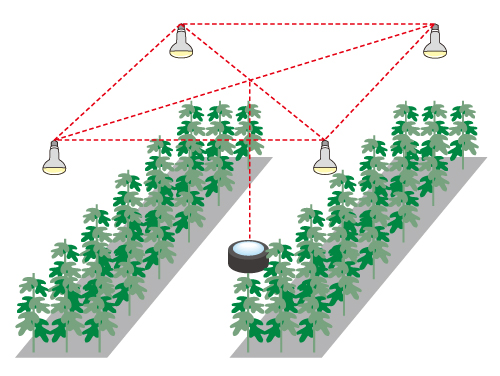 実証実験 イメージ図